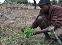 "If people have the opportunities to farm and produce, the situation would be very different."