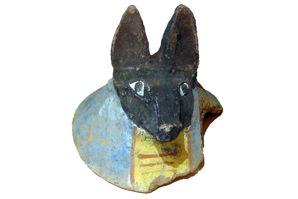 Canopic jar lid decorated as the god Duamutef, one of the four sons of Horus. Excavated at Abydos at Cemetery D between 1899-1900 by Arthur Cruttenden Mace (1874-1928) - 1987.416 © McLean Museum and Art Gallery, Greenock.