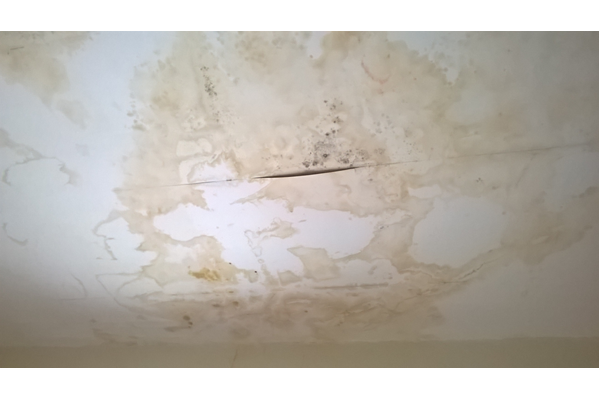 Public health nuisance - dampness in a residential property