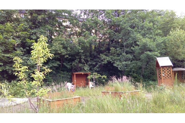 Gardening - Example 1 - Pic 1