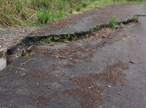 Dunrod Road reinstatement update