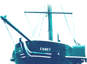 Comet replica to be replaced 